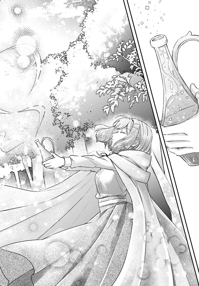 Seijo no Maryoku wa Bannou desu ~Mouhitori no Seijo~ - Chapter 15.3 - Page 2