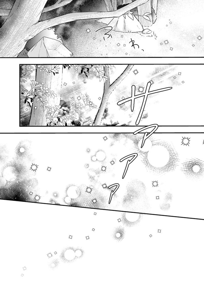 Seijo no Maryoku wa Bannou desu ~Mouhitori no Seijo~ - Chapter 15.3 - Page 4