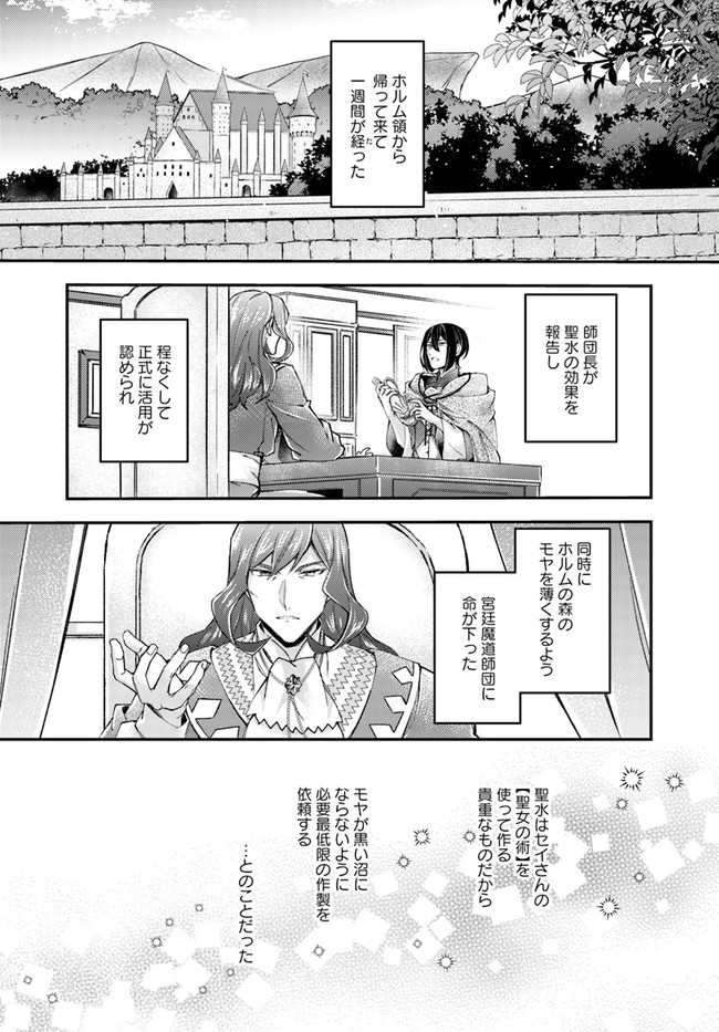 Seijo no Maryoku wa Bannou desu ~Mouhitori no Seijo~ - Chapter 16.1 - Page 4