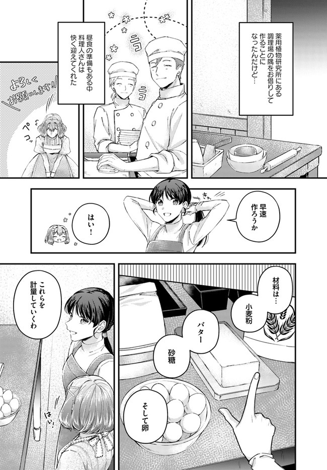 Seijo no Maryoku wa Bannou desu ~Mouhitori no Seijo~ - Chapter 17.1 - Page 3