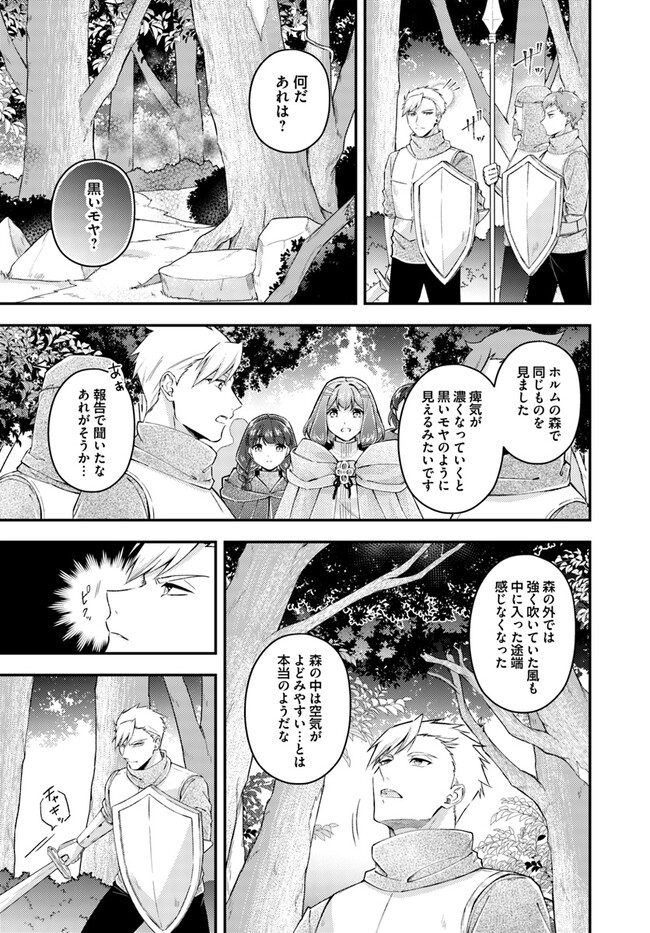 Seijo no Maryoku wa Bannou desu ~Mouhitori no Seijo~ - Chapter 20.1 - Page 3