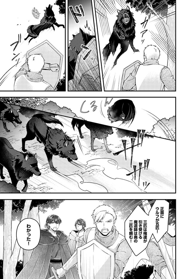 Seijo no Maryoku wa Bannou desu ~Mouhitori no Seijo~ - Chapter 20.1 - Page 5