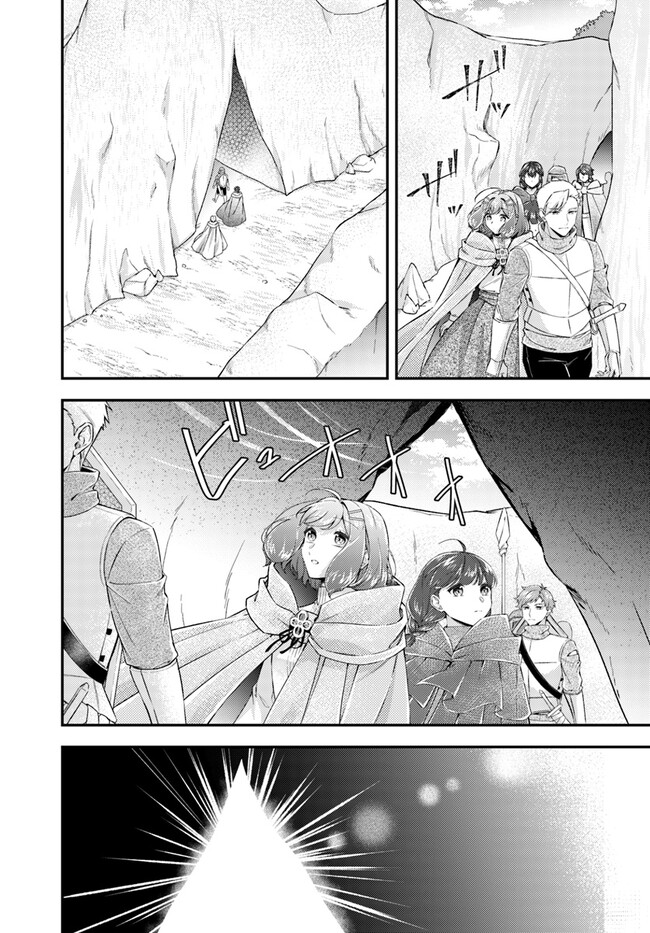 Seijo no Maryoku wa Bannou desu ~Mouhitori no Seijo~ - Chapter 20.3 - Page 3