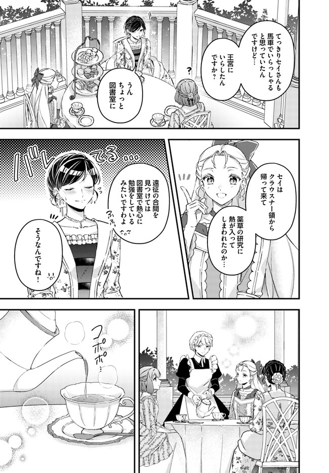 Seijo no Maryoku wa Bannou desu ~Mouhitori no Seijo~ - Chapter 21.2 - Page 5