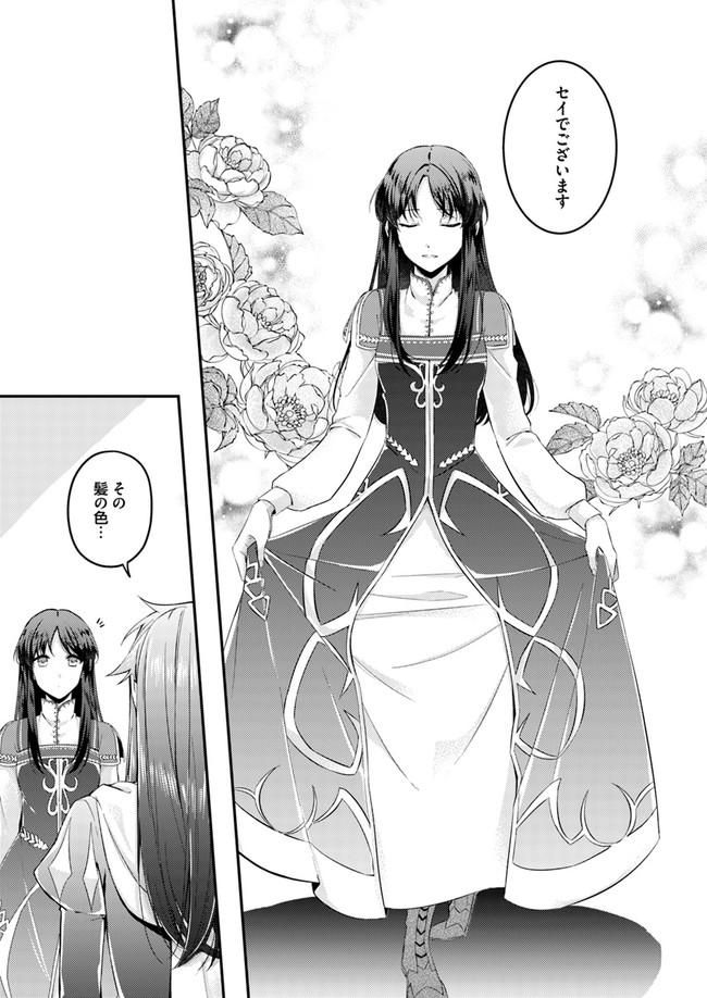 Seijo no Maryoku wa Bannou desu ~Mouhitori no Seijo~ - Chapter 3.1 - Page 3