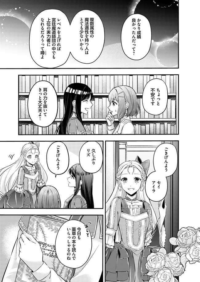 Seijo no Maryoku wa Bannou desu ~Mouhitori no Seijo~ - Chapter 5.3 - Page 6
