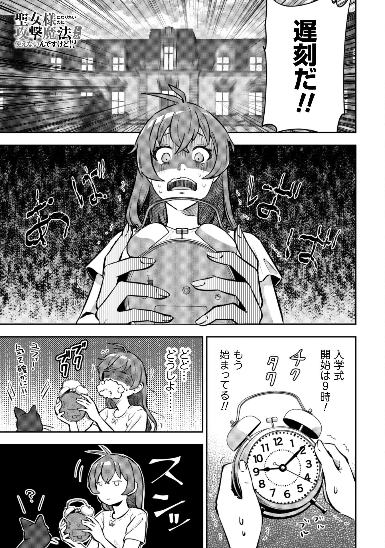 Seijo Sama ni Naritai noni Kougeki Mahou Shika Tsukaenain desu kedo!? - Chapter 3 - Page 2