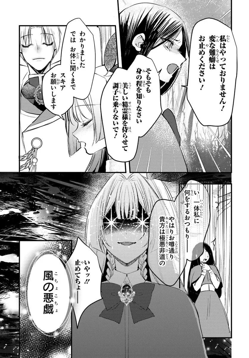 Seirei ni "Omae wa Shujin ni Fusawashikunai, Keiyaku Haki shite kure!' to Iwareta node, Hoshigatteiru Imouto ni Yuzurimasu - Chapter 8.1 - Page 15