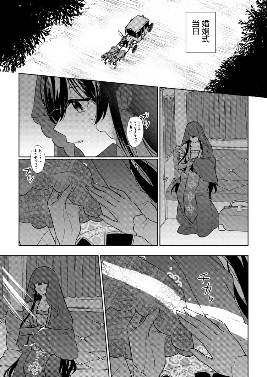 Seiryaku Kekkon Kara Hajimaru Koufuku mo Aru to, Shinjite Mo ii desu ka? - Chapter 1 - Page 17