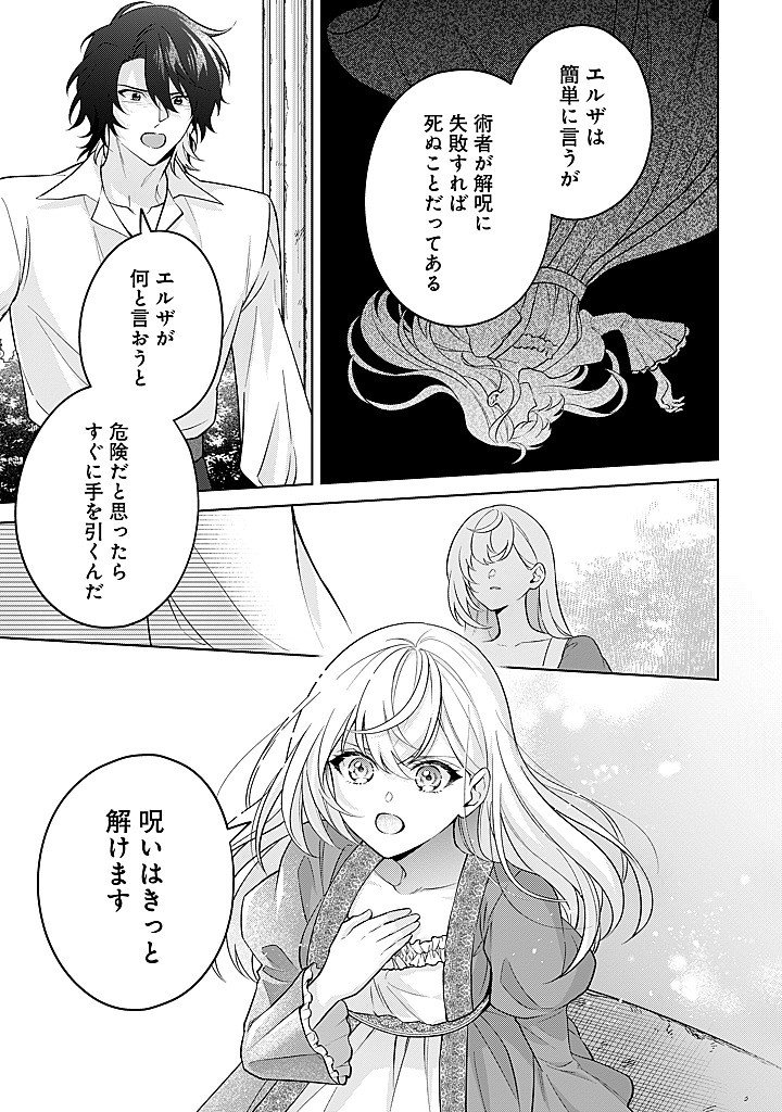 Seishin Seijo: Konyaku Hakisareta Tsuihou Seijo desu ga, Ookami Ouji no Noroi wo Toite Dekiaisaretemasu - Imasara Kuni ni Modorette Iwarete mo Osoi desu! - Chapter 25 - Page 17