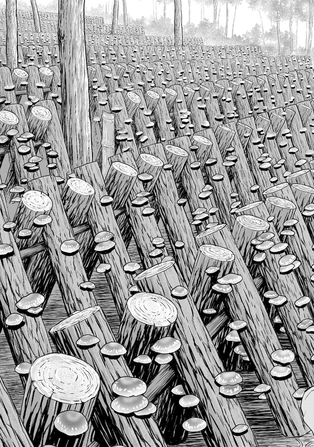 Sengoku Komachi Kuroutan Chap 8 - Next Chap 9