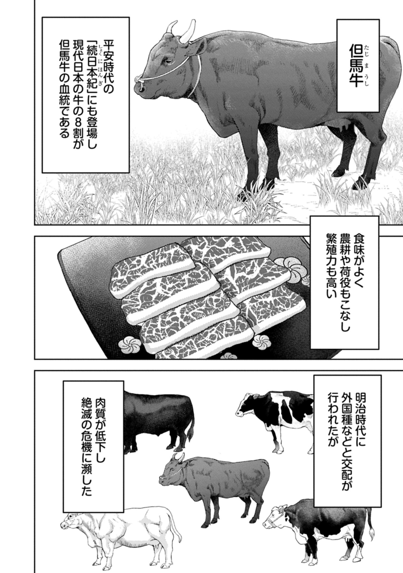 Sengoku Komachi Kuroutan Chap 90.1 - Next Chap 91.1