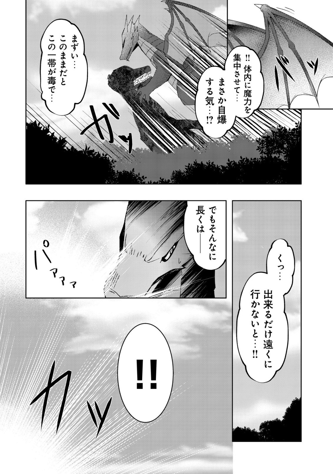 Senjitsu Sukutte Itadaita Dragon desu - Chapter 11 - Page 29