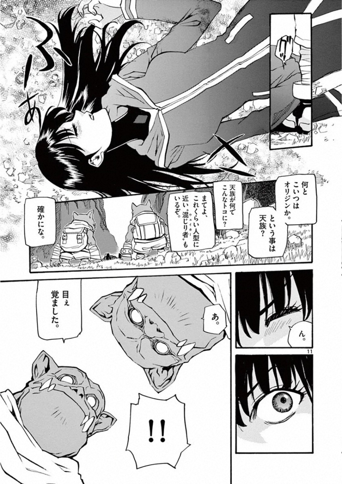 Shikkoku no Ziggy - Chapter 1 - Page 11