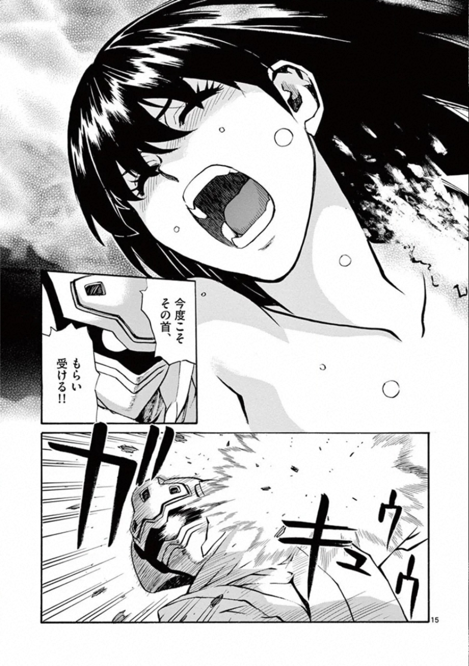 Shikkoku no Ziggy - Chapter 9 - Page 15