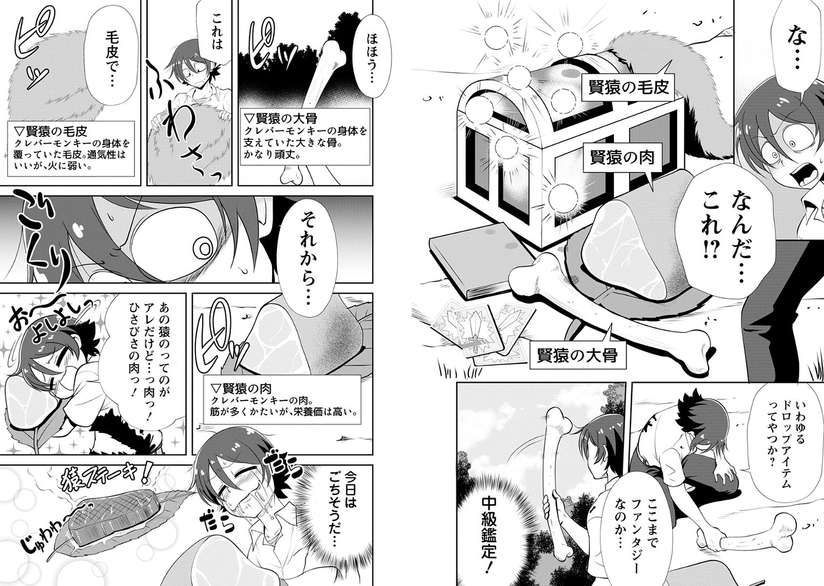 Shinka no Mi Chap 2 - Next Chap 3