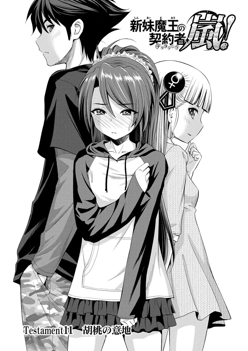 Shinmai Maou no Testament Arashi! - Chapter 11 - Page 1