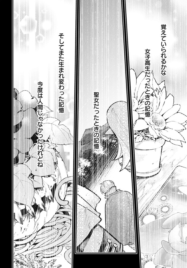 Shokubutsu Monster Musume Nikki ~Seijo datta Watashi ga Uragirareta Hate ni Alraune ni Tensei Shite Shimatta node, Kore kara wa Kougousei wo Shinagara Shizuka ni Shokubutsu Life wo Sugoshimasu~ - Chapter 14 - Page 23