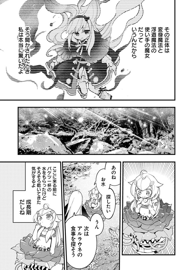 Shokubutsu Monster Musume Nikki ~Seijo datta Watashi ga Uragirareta Hate ni Alraune ni Tensei Shite Shimatta node, Kore kara wa Kougousei wo Shinagara Shizuka ni Shokubutsu Life wo Sugoshimasu~ - Chapter 16 - Page 9