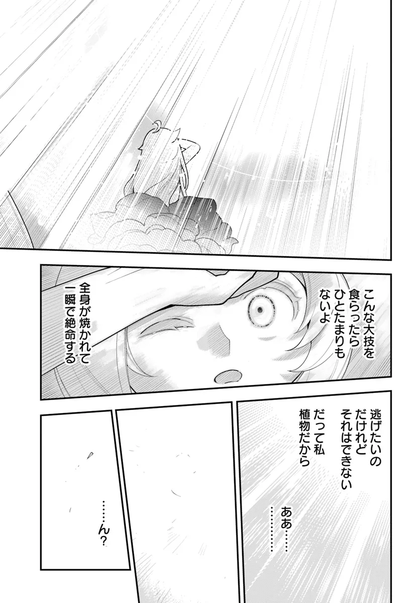 Shokubutsu Monster Musume Nikki ~Seijo datta Watashi ga Uragirareta Hate ni Alraune ni Tensei Shite Shimatta node, Kore kara wa Kougousei wo Shinagara Shizuka ni Shokubutsu Life wo Sugoshimasu~ - Chapter 25 - Page 19