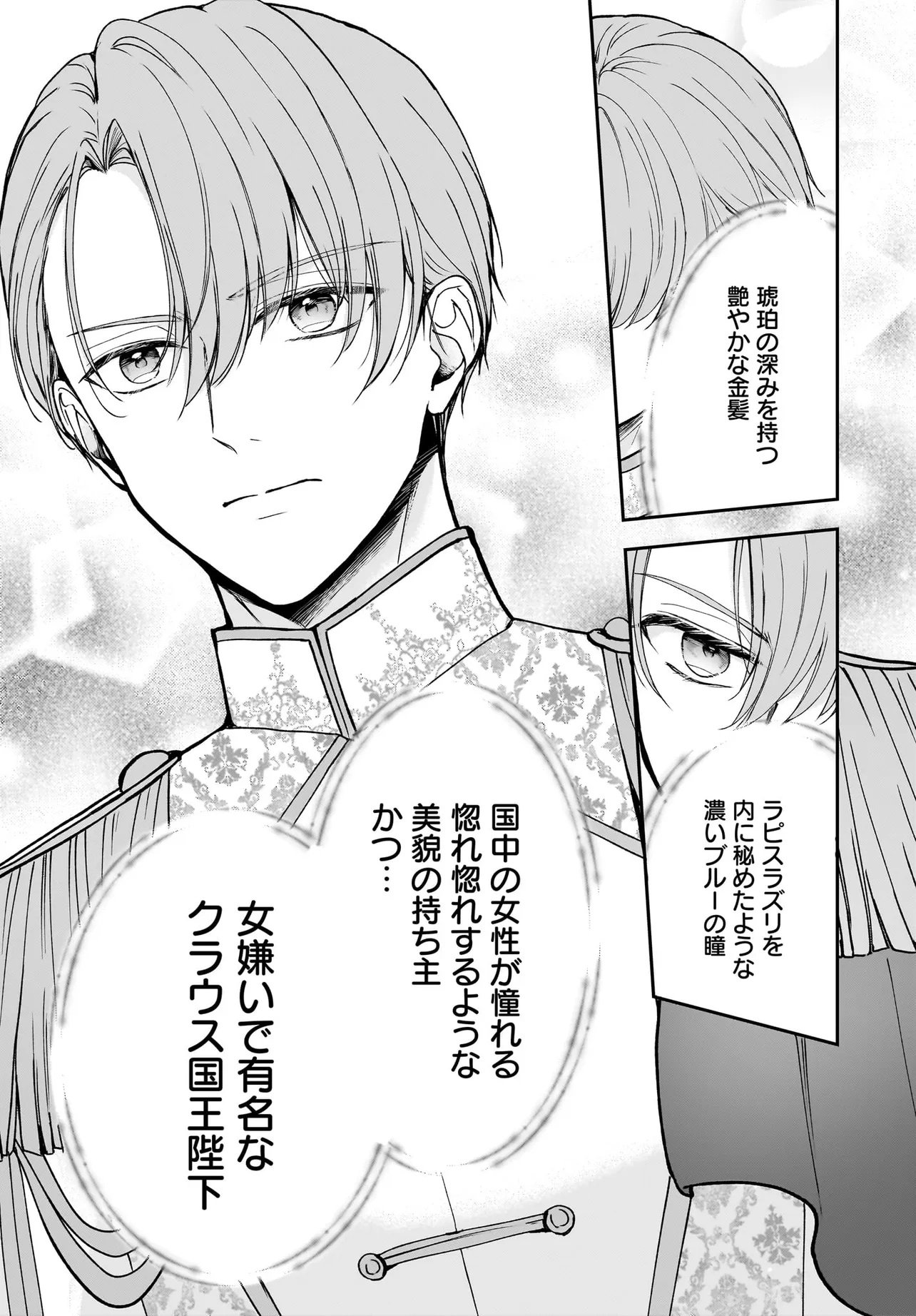 Shokugyou Ouhi desu no de, Ou no Dekiai wa Goenryo Negaimasu - Chapter 1 - Page 7