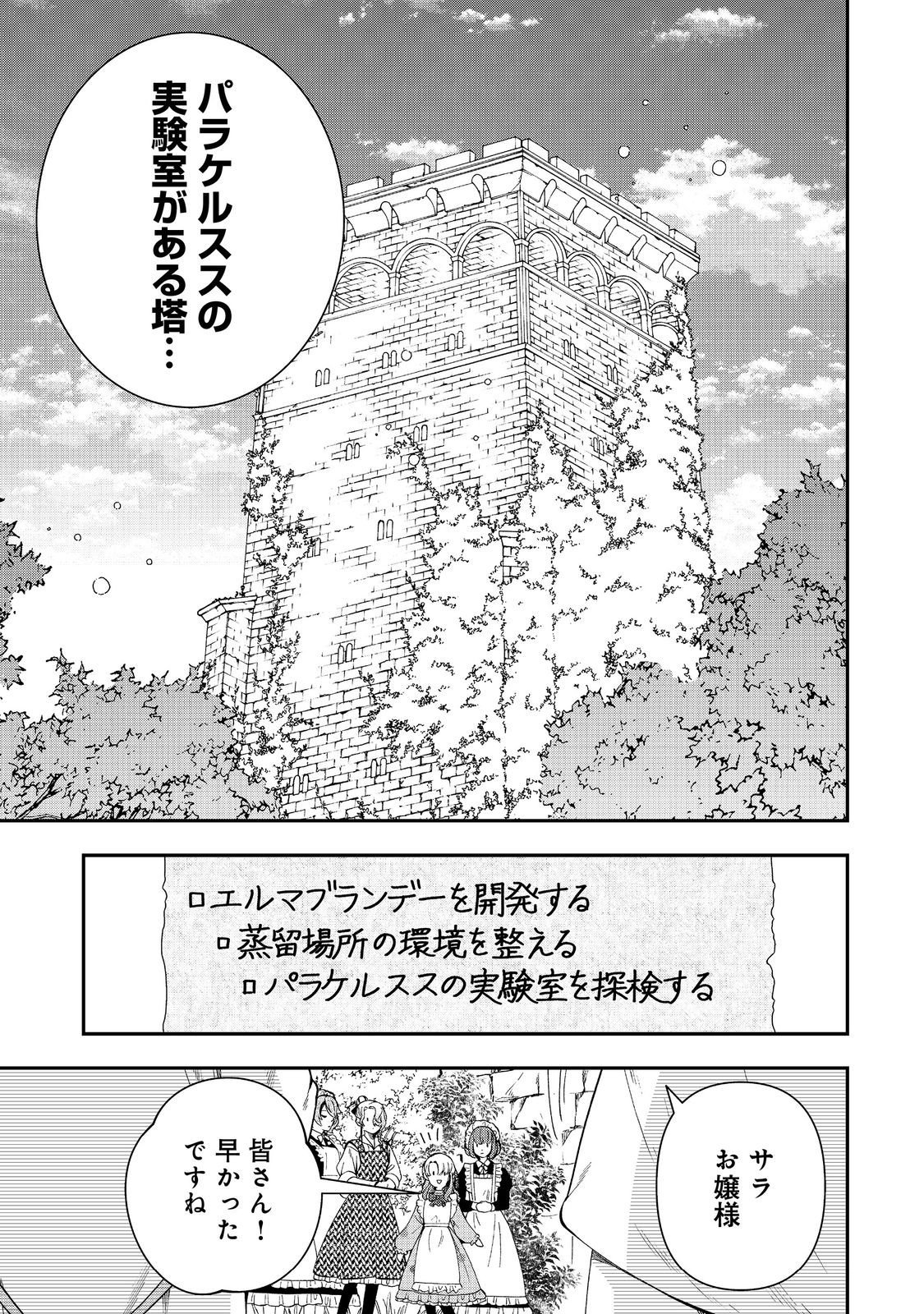 Shounin Reijou wa Okane no Chikara de Musou Suru - Chapter 12 - Page 3