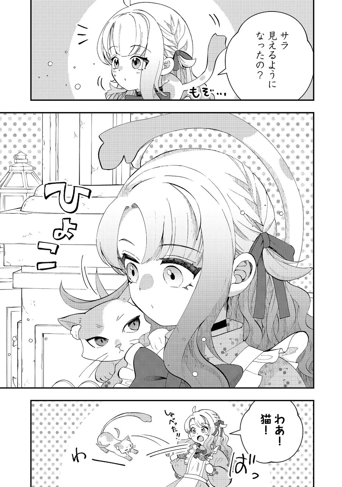 Shounin Reijou wa Okane no Chikara de Musou Suru - Chapter 13 - Page 13