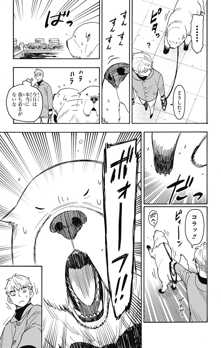 スパイファミリー Chap 58 - Next Chap 59