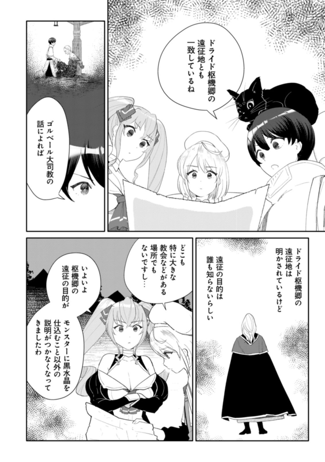 SSS-kyuu Skill Haifu Shinkan no Henkyou Second Life - Chapter 12 - Page 9
