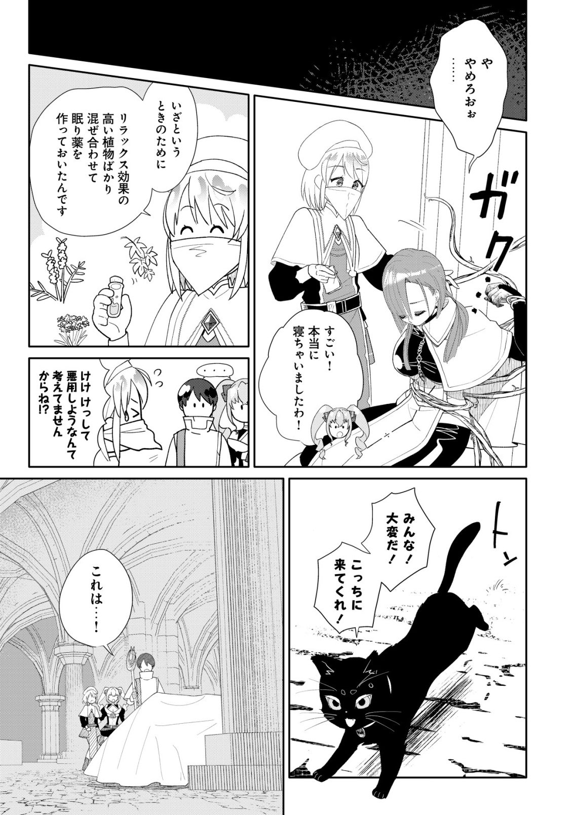 SSS-kyuu Skill Haifu Shinkan no Henkyou Second Life - Chapter 15 - Page 10