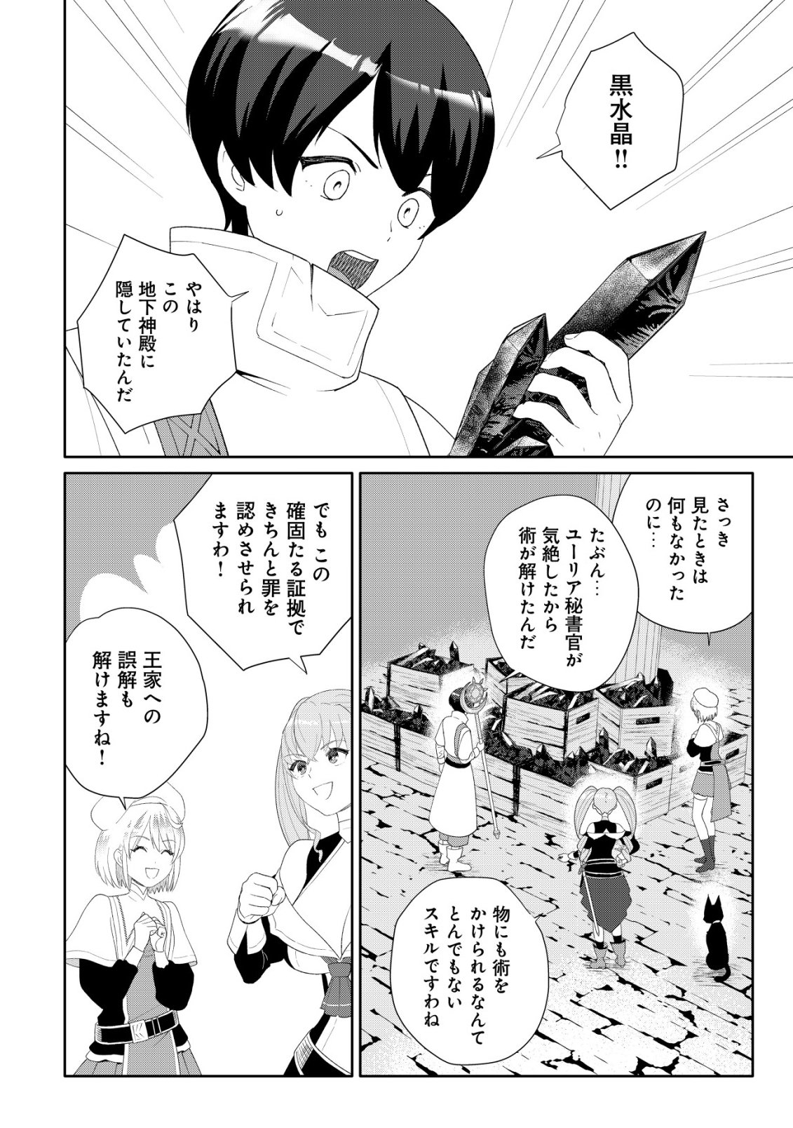 SSS-kyuu Skill Haifu Shinkan no Henkyou Second Life - Chapter 15 - Page 11