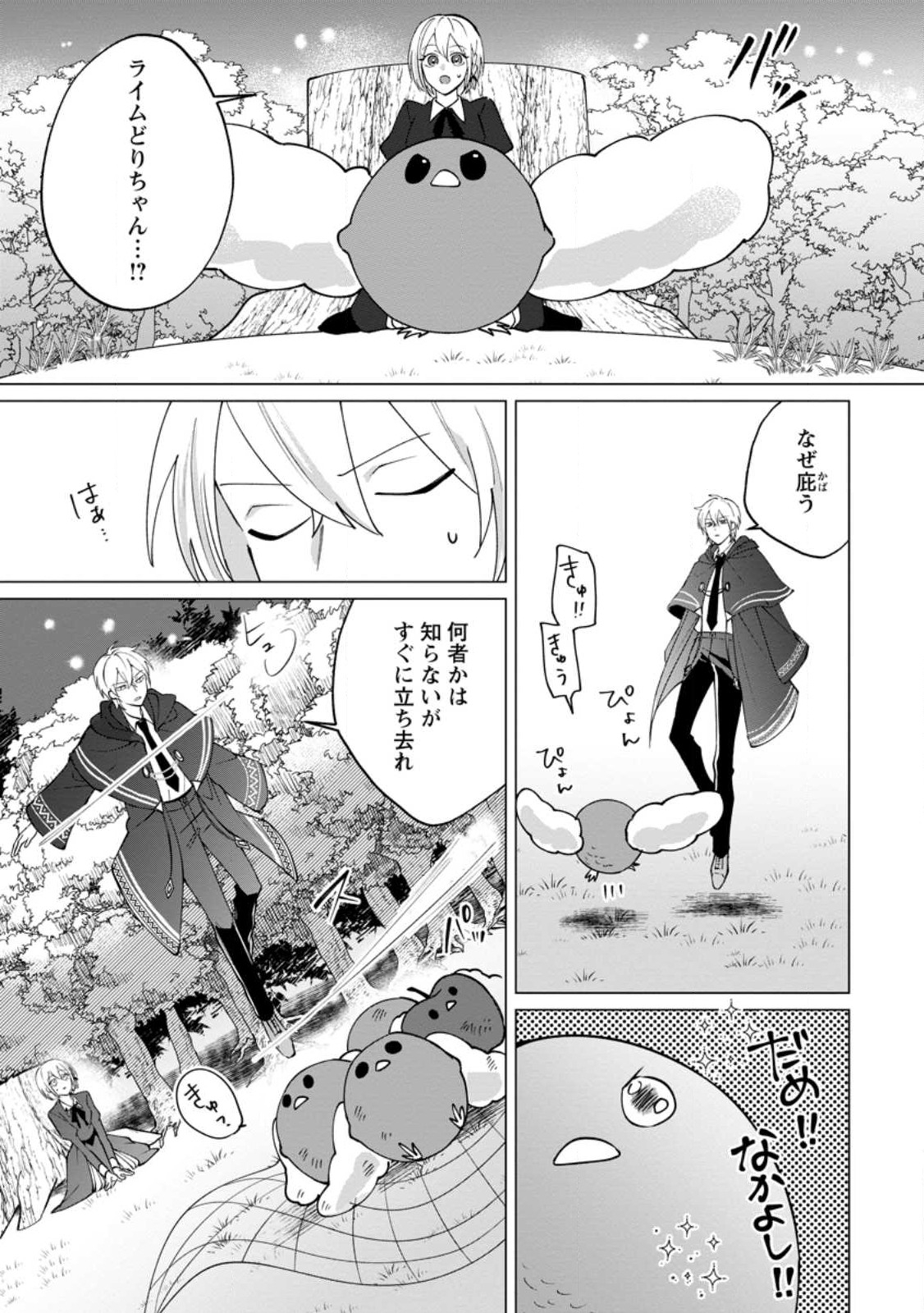 Suterare Seijo no Mofumofu Hogo Katsudou - Chapter 1 - Page 29