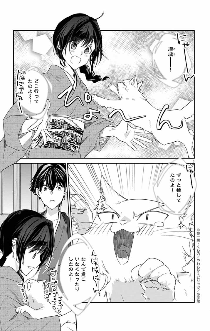 Teito no Kakushimiko - Chapter 10 - Page 3