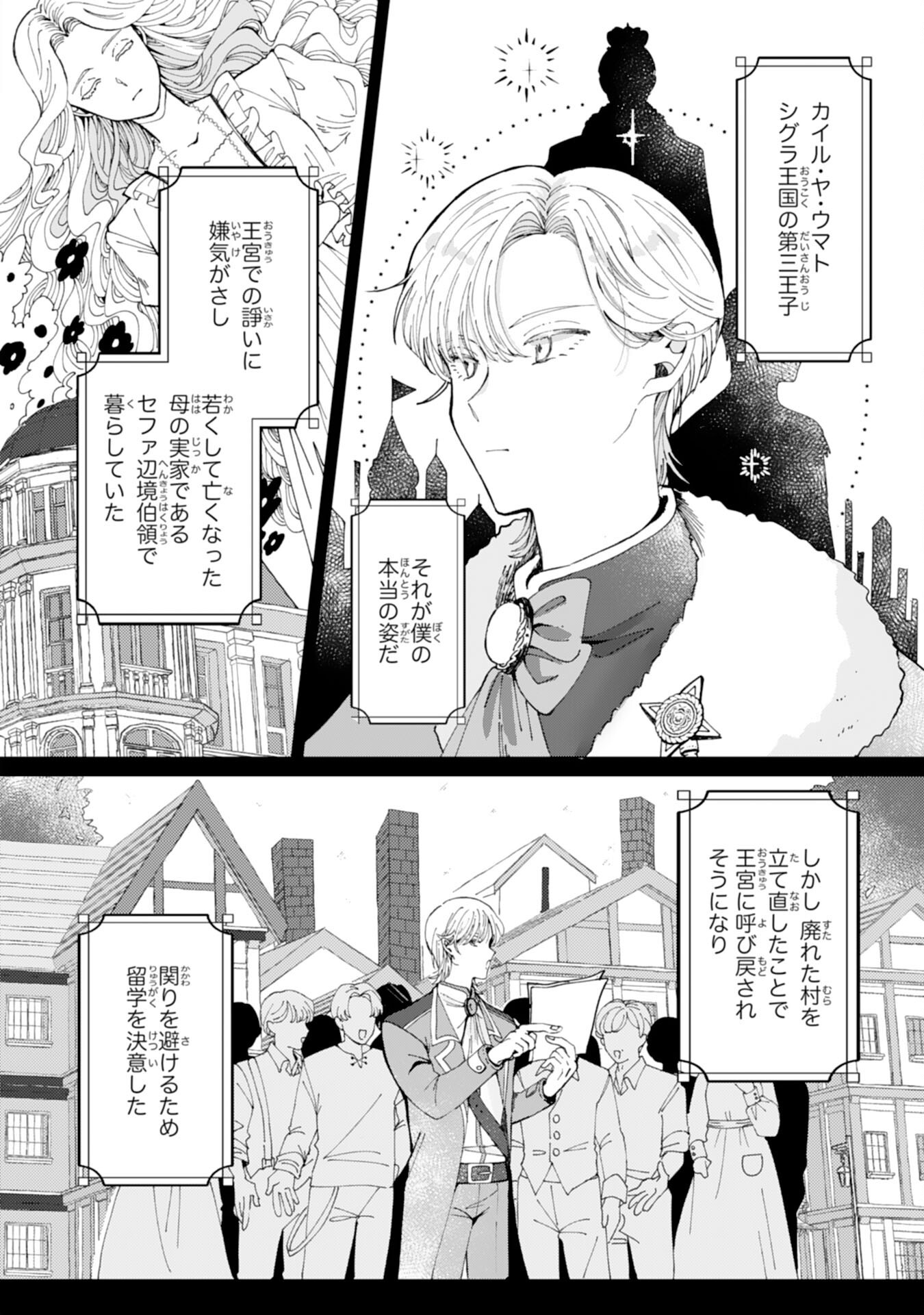 Tensai Madougushi Lucia wa Slow Life wo Okuritai! - Chapter 3 - Page 10