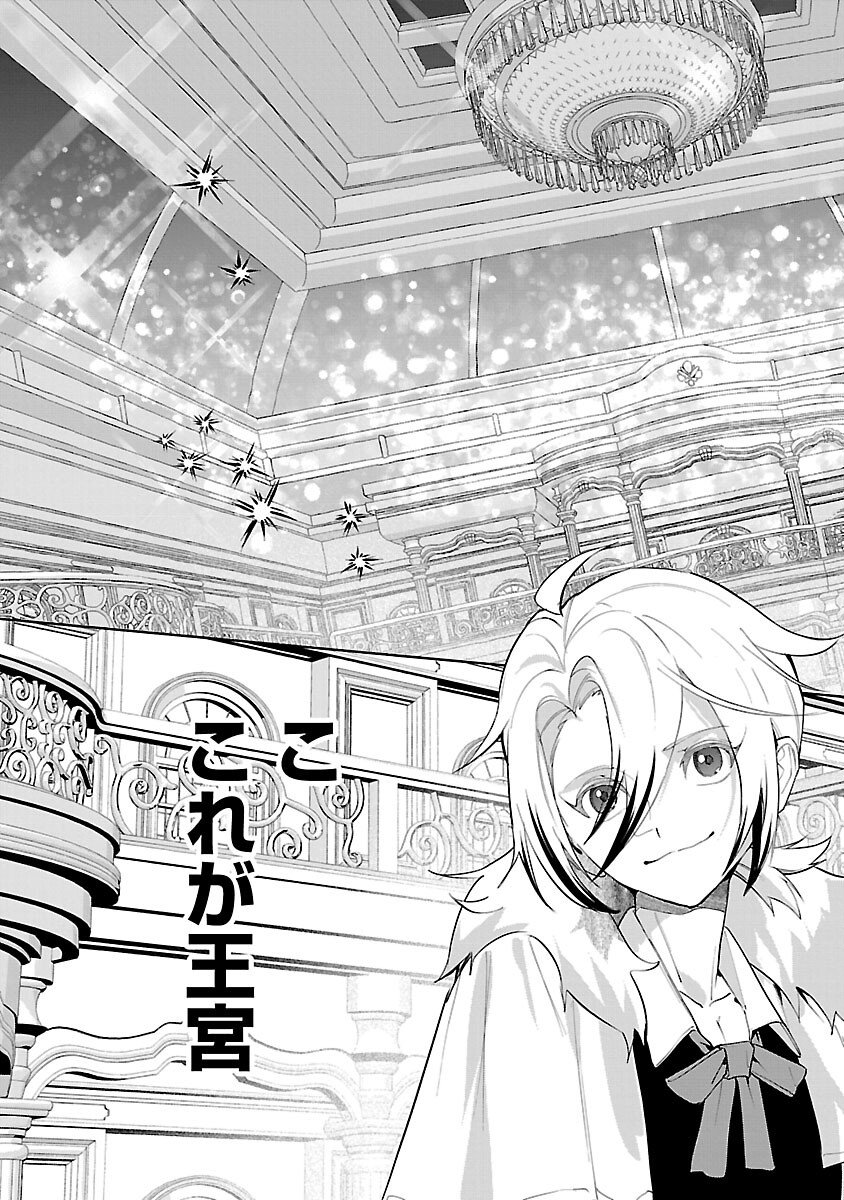 Tensei Akuyaku Reijou - Otoko ni Natte Hametsu Flag wo Kaihi Shitai Dake na noni, F Class no Gekokujou toka Dekiai Toka Shirimasen tte! - Chapter 5 - Page 17