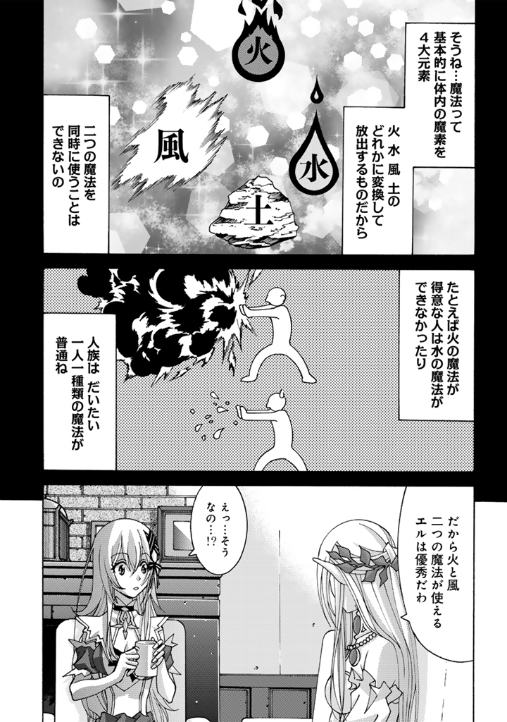 Tensei Sei Kishi wa Nidome no Jinsei de Sekai Saikyou no Tsukai Ma ni Naru - Chapter 13.1 - Page 11
