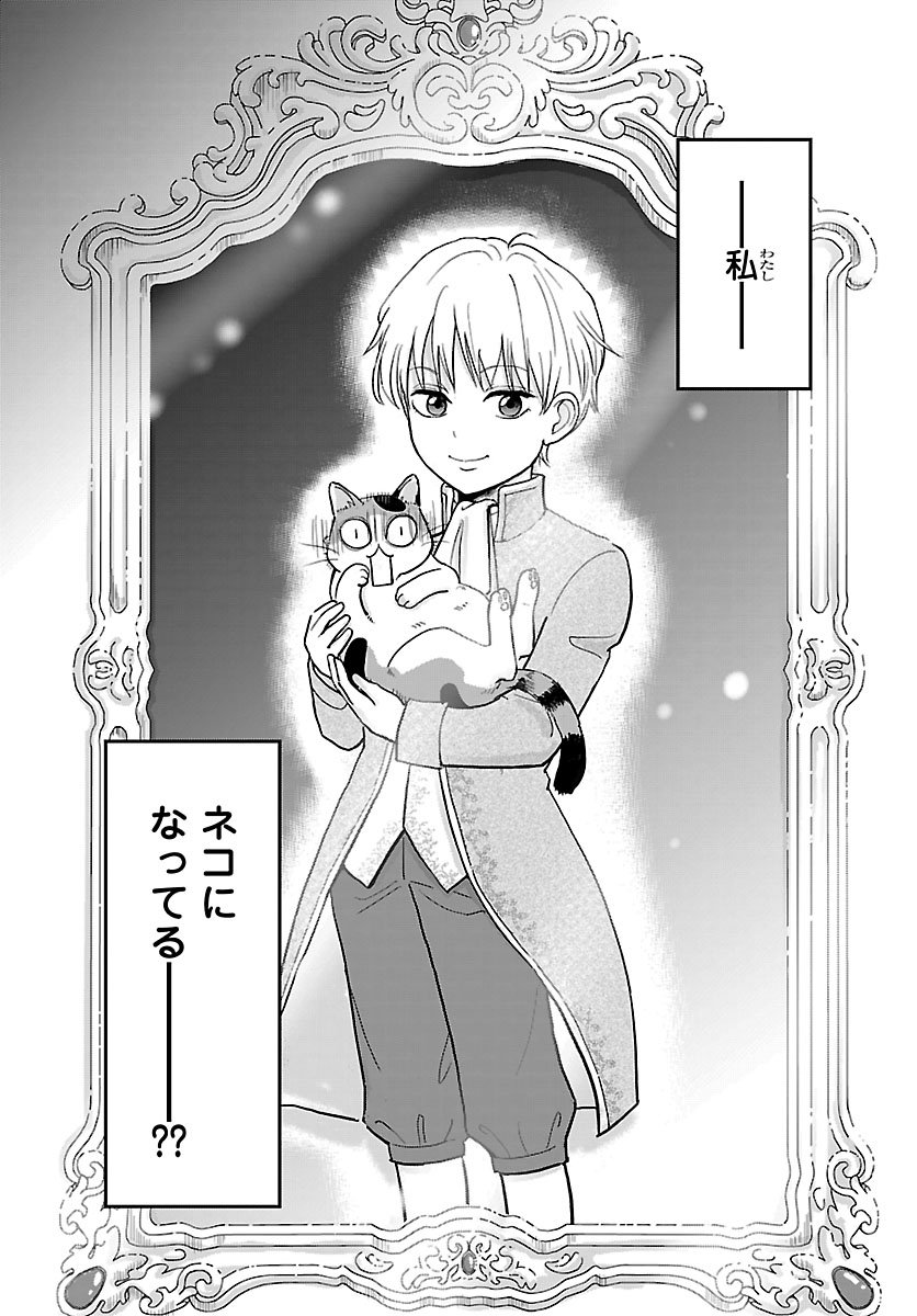 Tensei Shita Mikeneko wa Ouji to Gyokuza no Yume o Miru - Chapter 1 - Page 4