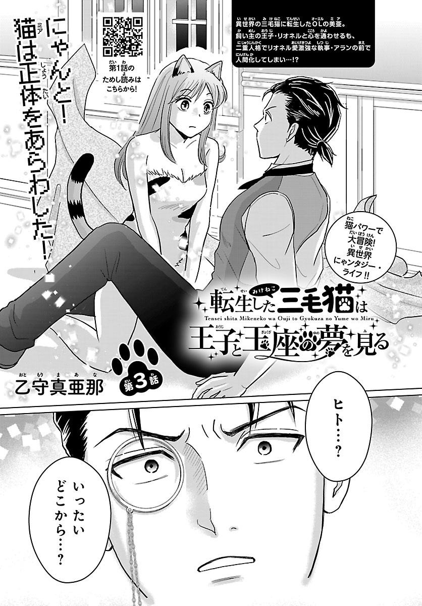 Tensei Shita Mikeneko wa Ouji to Gyokuza no Yume o Miru - Chapter 3 - Page 1