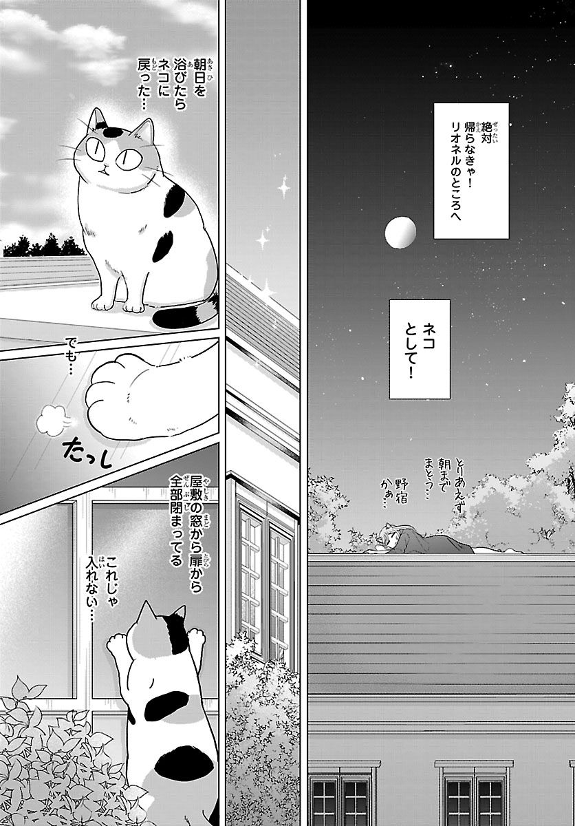 Tensei Shita Mikeneko wa Ouji to Gyokuza no Yume o Miru - Chapter 3 - Page 17