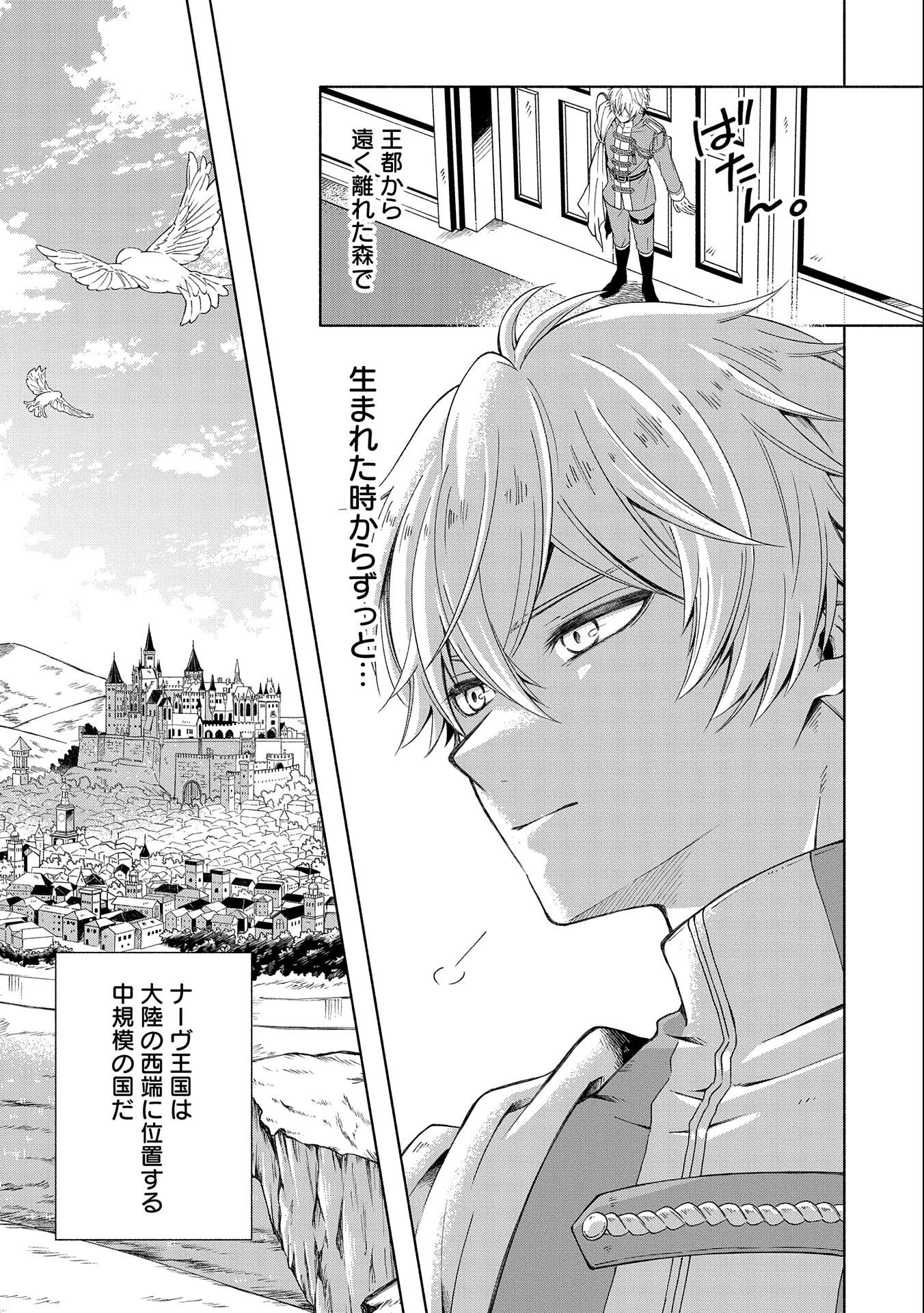 Tensei Shita Daiseijo wa, Seijo de Aru Koto wo Hitakakusu: ZERO ~The Great Saint of Remembrance~ - Chapter 1 - Page 11