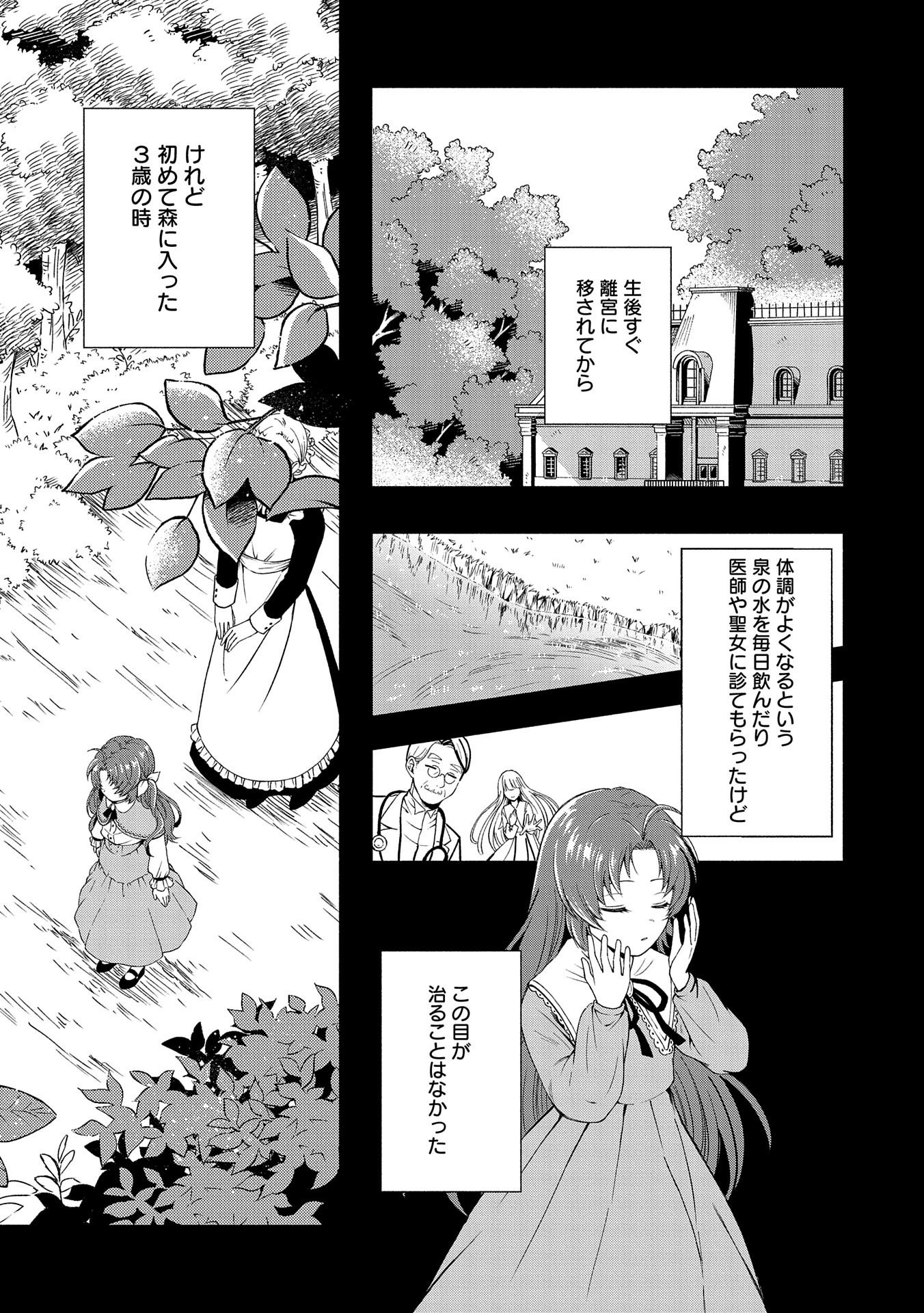 Tensei Shita Daiseijo wa, Seijo de Aru Koto wo Hitakakusu: ZERO ~The Great Saint of Remembrance~ - Chapter 1 - Page 27