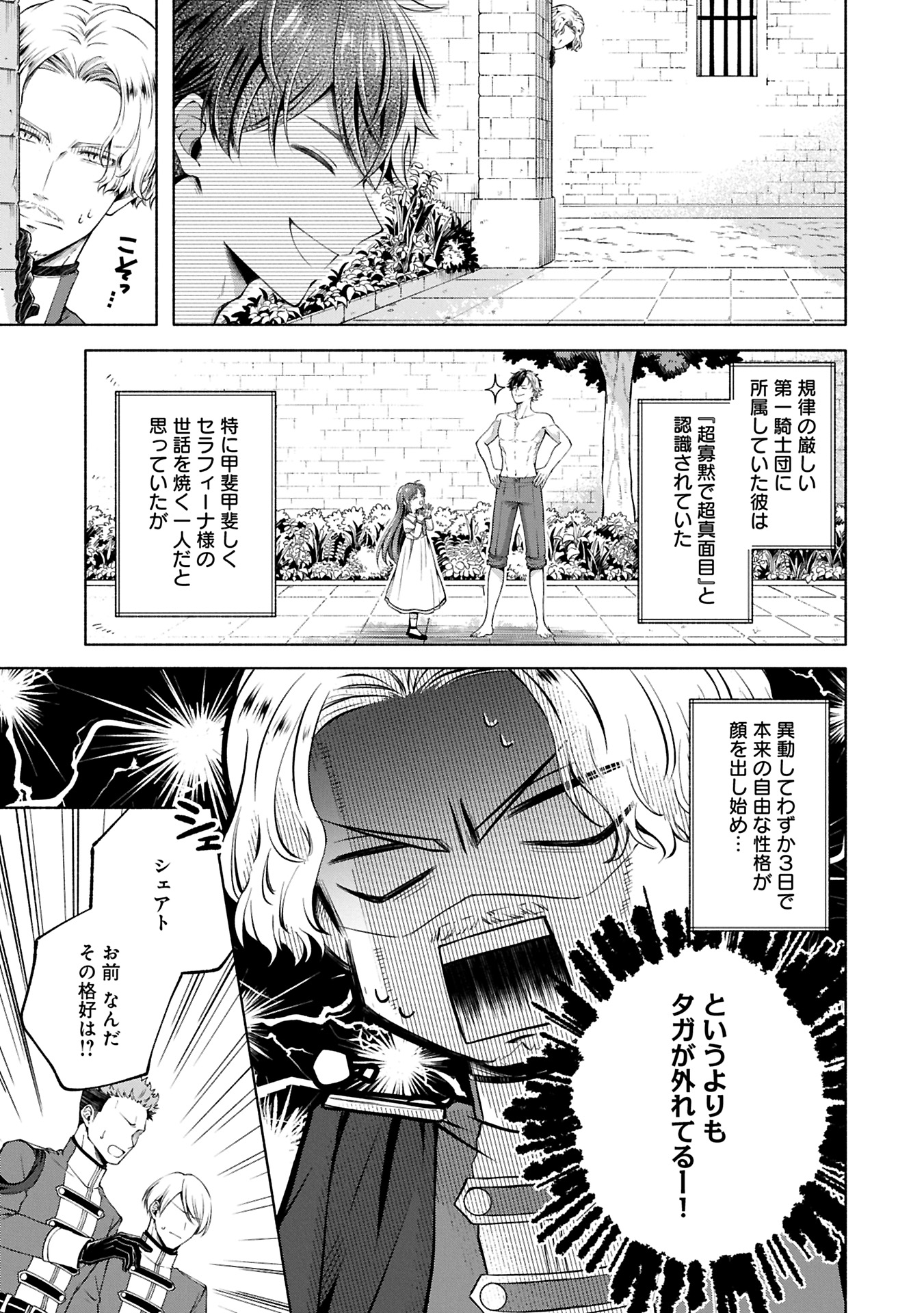 Tensei Shita Daiseijo wa, Seijo de Aru Koto wo Hitakakusu: ZERO ~The Great Saint of Remembrance~ - Chapter 12.2 - Page 9