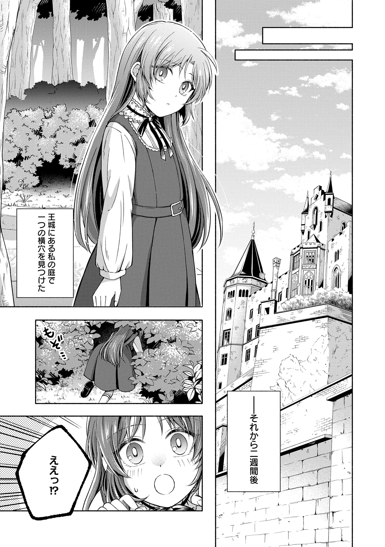 Tensei Shita Daiseijo wa, Seijo de Aru Koto wo Hitakakusu: ZERO ~The Great Saint of Remembrance~ - Chapter 8 - Page 43