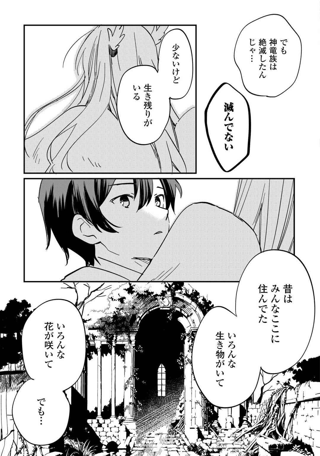 Tokage (Hontou wa Shinryuu) wo Shoukan Shita Seijuu Tsukai, Ryuu no Senaka de Kaitaku Life - Chapter 1.2 - Page 24