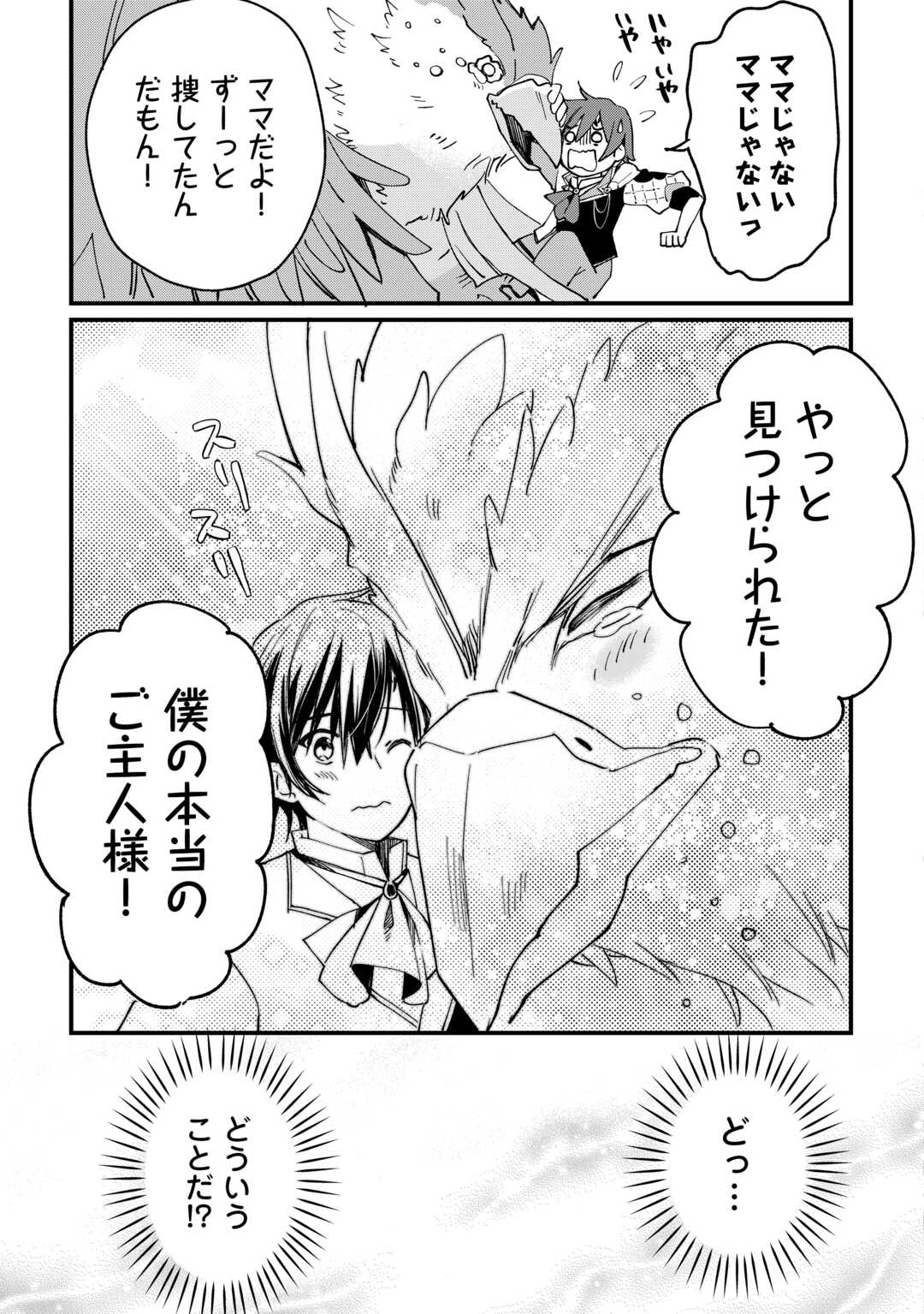 Tokage (Hontou wa Shinryuu) wo Shoukan Shita Seijuu Tsukai, Ryuu no Senaka de Kaitaku Life - Chapter 15 - Page 15