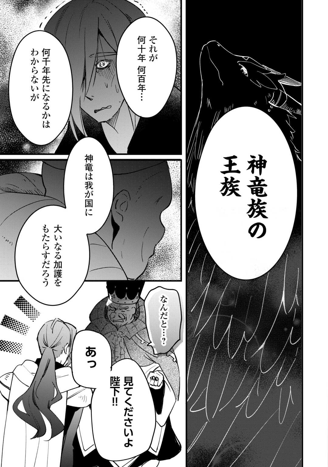 Tokage (Hontou wa Shinryuu) wo Shoukan Shita Seijuu Tsukai, Ryuu no Senaka de Kaitaku Life - Chapter 18 - Page 3