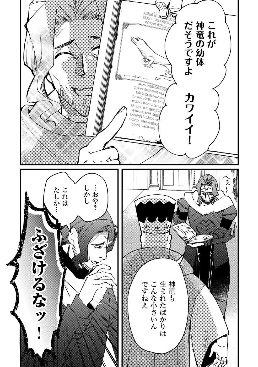 Tokage (Hontou wa Shinryuu) wo Shoukan Shita Seijuu Tsukai, Ryuu no Senaka de Kaitaku Life - Chapter 18 - Page 4