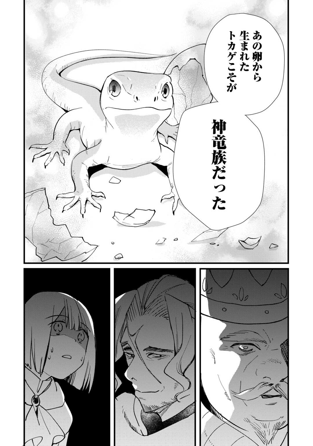 Tokage (Hontou wa Shinryuu) wo Shoukan Shita Seijuu Tsukai, Ryuu no Senaka de Kaitaku Life - Chapter 18 - Page 6