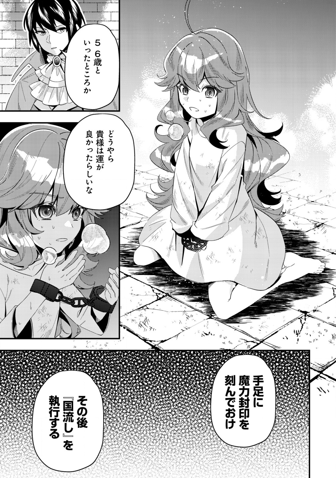 Tsuihou Reijou Vivi no Funtouki - Chapter 1 - Page 13