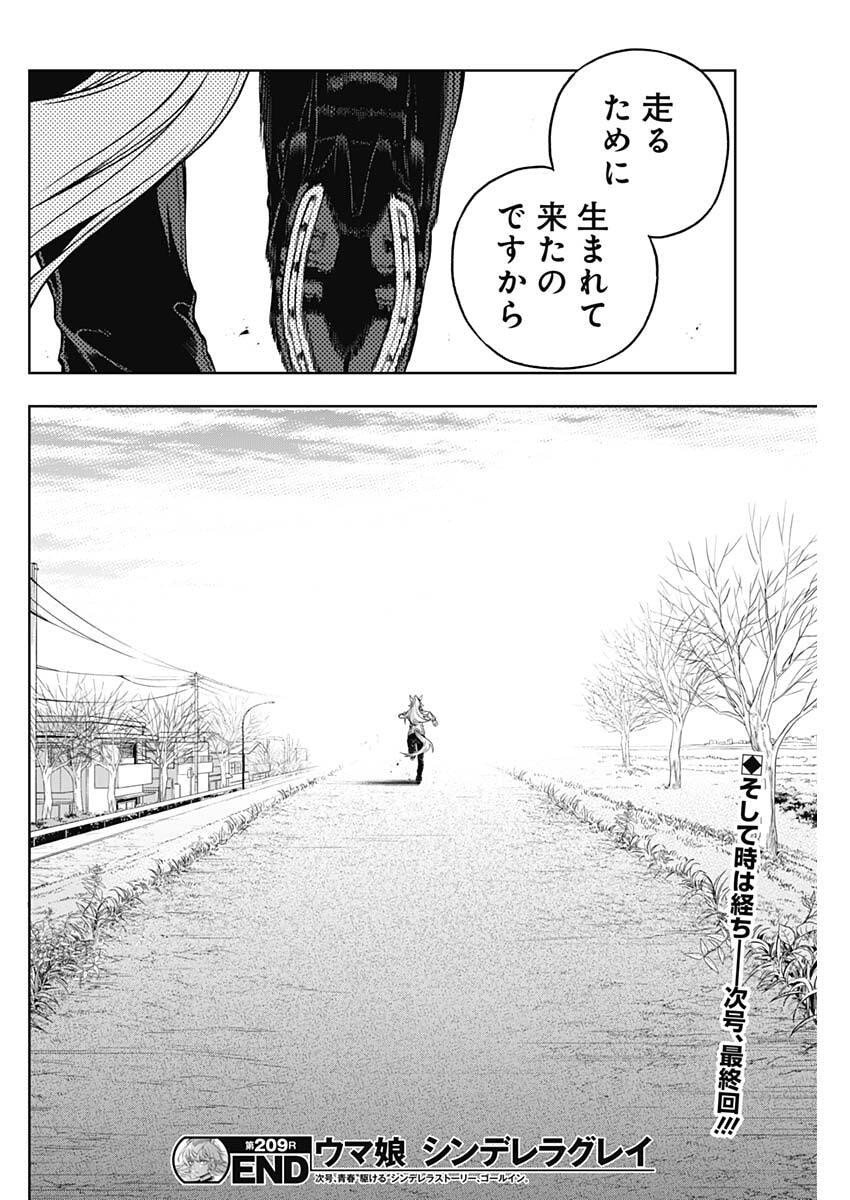 Uma Musume: Cinderella Gray - Chapter 209 - Page 18